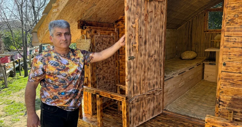 Lənkəranda ilk dəfə arı terapiya məkanı yaradılıb arılar arasında yeni müalicə üsulu FOTO