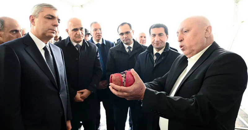 Xocavənd rayonunda bağçılıq təsərrüfatına baxış keçirilib FOTO