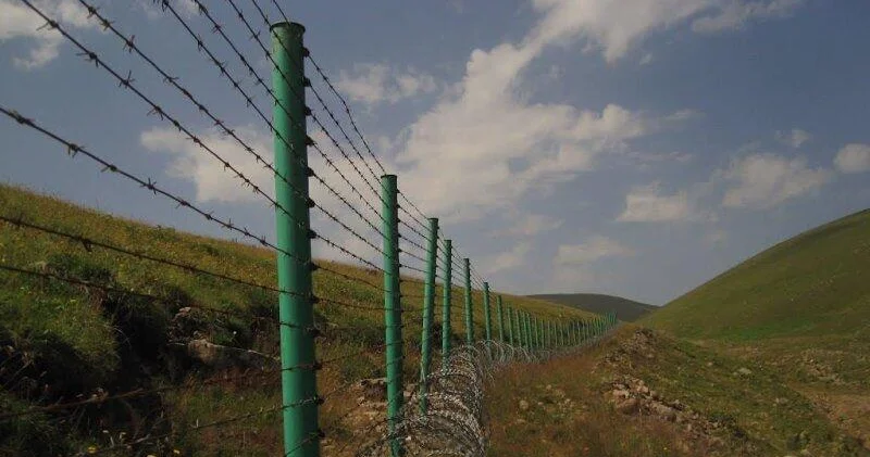 Про пограничную позицию и армянскую оппозицию АКТУАЛЬНО от Лейлы Таривердиевой