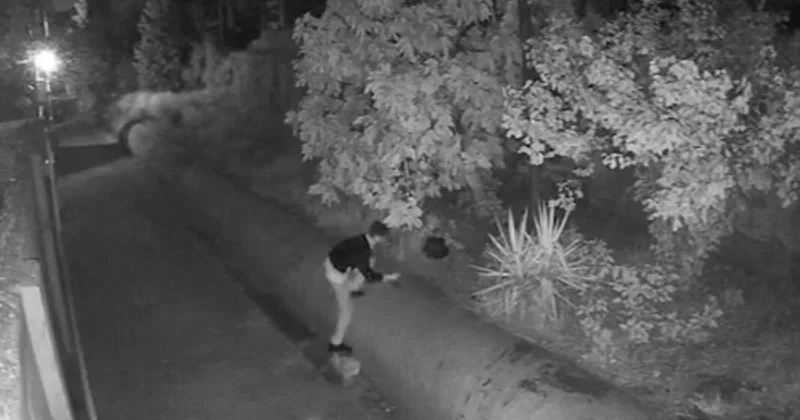 В Баку провели спецоперацию: задержаны наркокурьеры ФОТО ВИДЕО