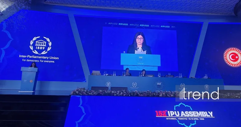 Севиль Микаилова выступила на заседании Бюро и Форума женщин парламентариев в Стамбуле (ФОТО/ВИДЕО)