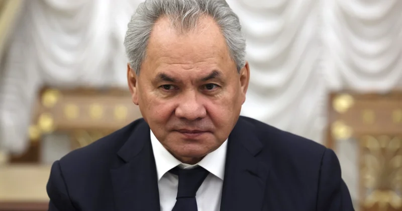 Шойгу заявил об атаках дронов через страны Балтии и Финляндию