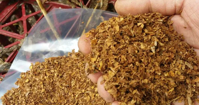 Azərbaycanda tütündən istifadə məhdudlaşdırılacaq? KONKRET