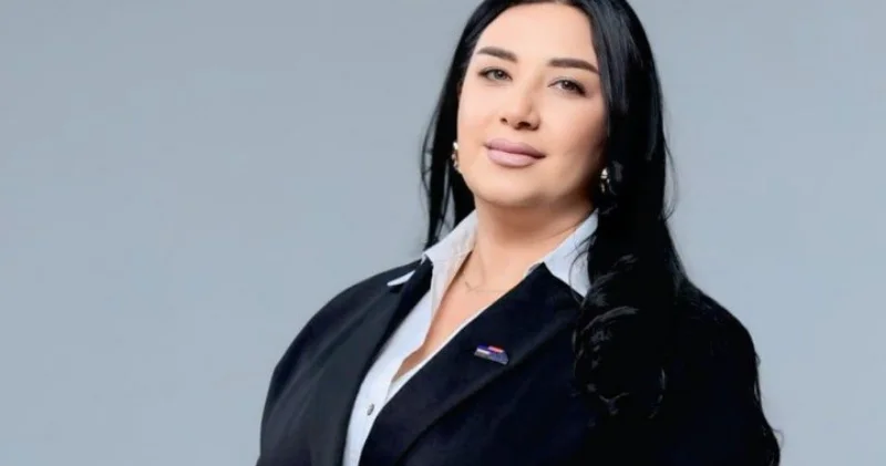 Главе офиса партии Карапетяна предъявлено обвинение