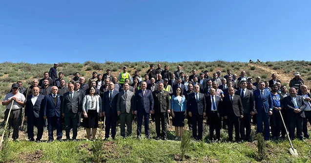 Beyləqanda ağacəkmə aksiyası keçirildi Fotolar