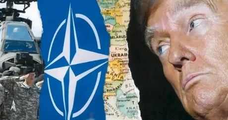 Трамп: союзники США по НАТО заработали себе проблему из за ситуации по Ирану