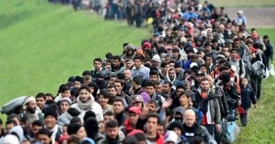 Более 4 млн человек могут стать беженцами к концу 2027 года Датский совет по делам беженцев