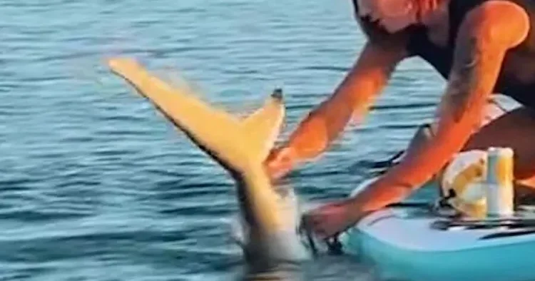 Qadın köpək balığını xilas etdi