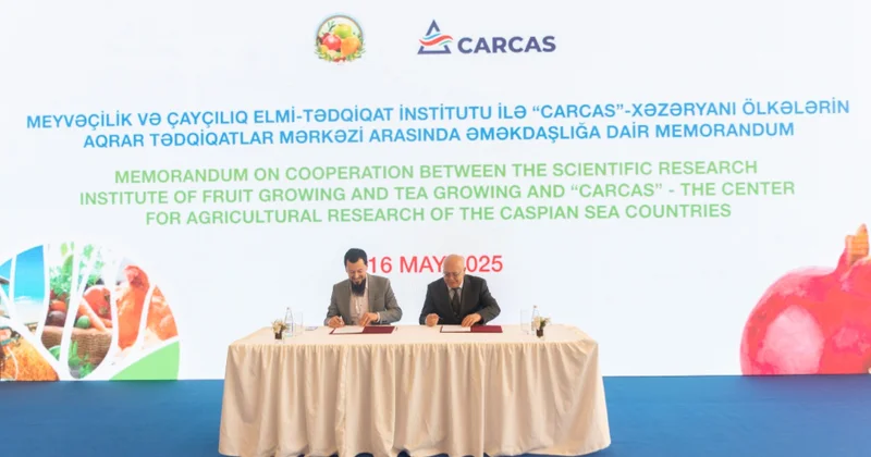 Meyvəçilik və Çayçılıq Elmi Tədqiqat İnstitutu ilə “CARCAS” Xəzəryanı ölkələrin Aqrar Tədqiqatlar Mərkəzi arasında memorandum imzalanıb