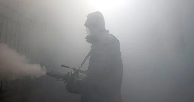 Опасные вирусы добрались до Европы