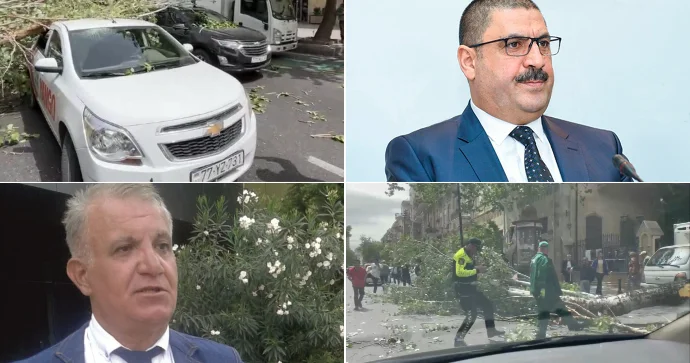 “Kimsə ağacın quru budağını kəsəndə ya cərimələyirlər, ya da rüşvət alırlar” EKOLOQ QURUMLARI TƏNQİD ETDİ VİDEO