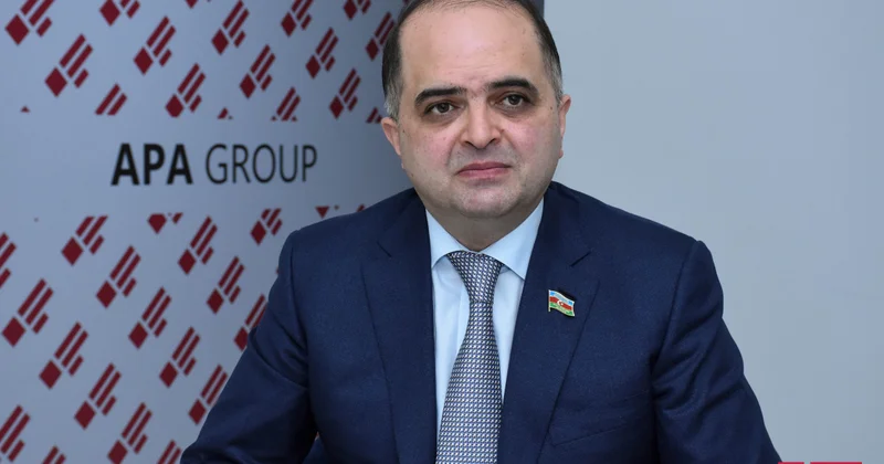 Rəşad Mahmudov “tibb işçilərinin vicdansız münasibəti” terminin İXM ə daxil edilməsini doğru saymır