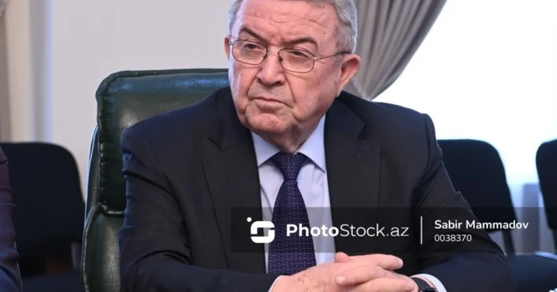 Misir Mərdanov: Professorların aldığı maaşla heç kim ailə dolandıra bilməz