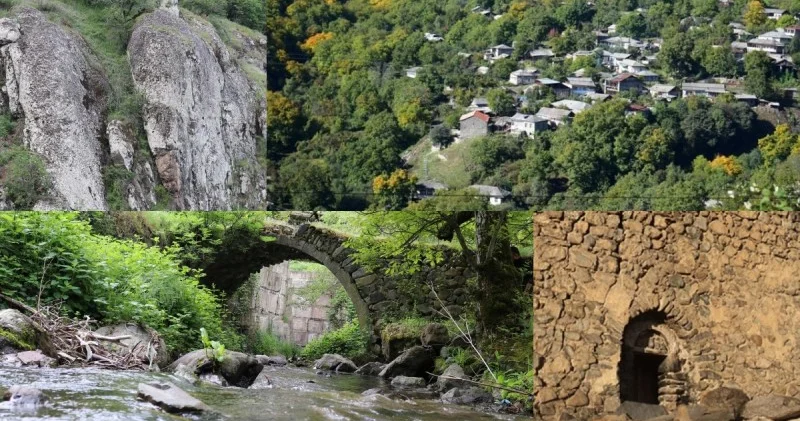 Şıxovuzu Şikahoq edənlərin növbəti iftirası: 60 ha meşəmizi...