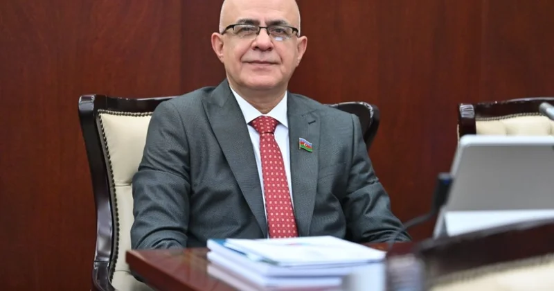 “Bu, cəmiyyətin mənəvi dəyərlərinə qarşı yönəlmiş təhdiddir” Elçin Mirzəbəyli