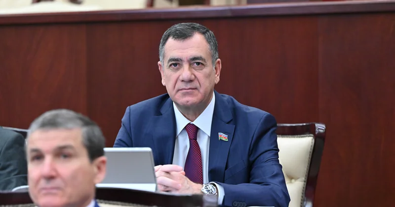 “Bu qanunun yenidən işlənməsinə ehtiyac var”