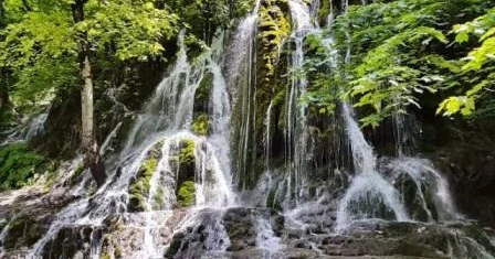 Şəkidə yeni şəlalə aşkarlandı