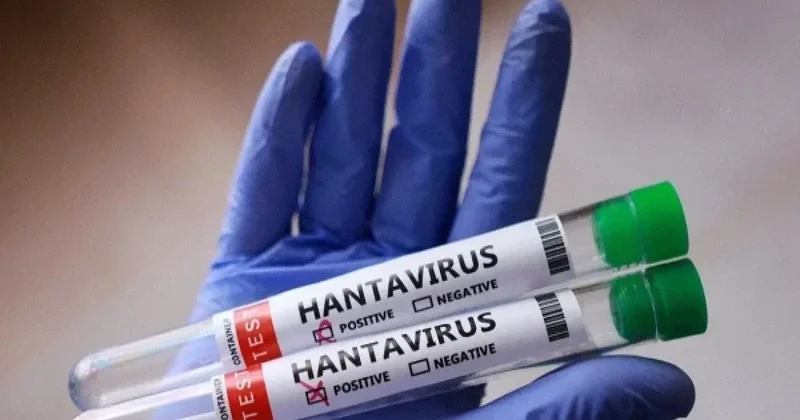 Kanadada hantavirusa yoluxma halı aşkarlandı