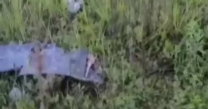 В турецком Самсуне дрон упал в жилом районе ВИДЕО