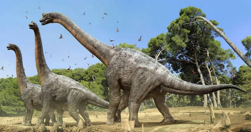Dinozavrlarla bağlı İNQİLABİ TAPINTI Fildən 9 dəfə böyük olub... FOTO