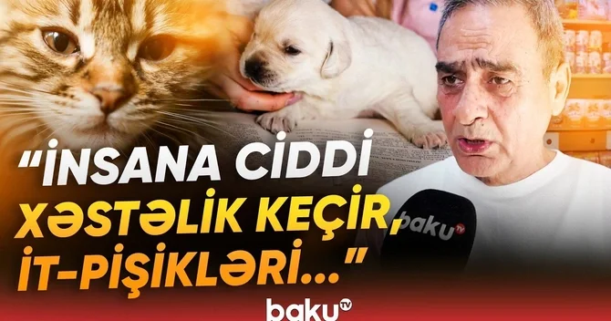 Nəqliyyatdan istifadə edəndə buna görə 200 manat cərimə oluna bilərsiniz Baku TV