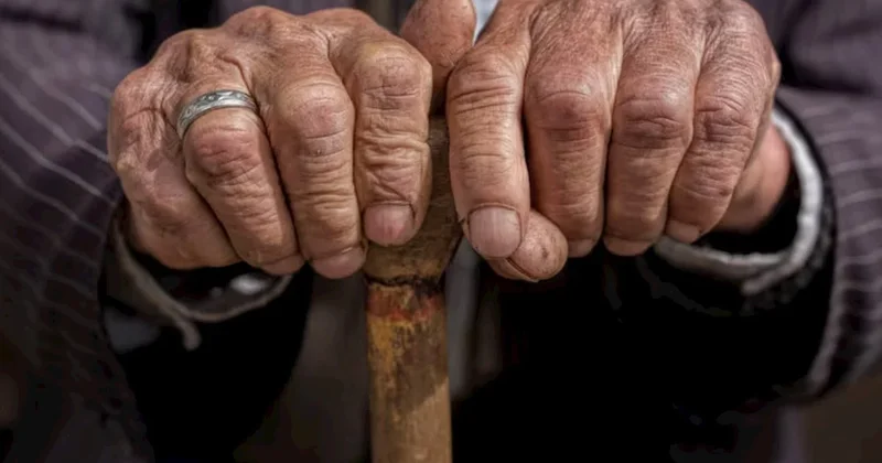 47 illik araşdırma bitdi Orqanizmin çökməyə başladığı yaş məlum oldu