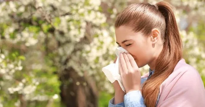 Həkim xəbərdarlıq etdi: Çiçək tozuna allergiya bu halda ölümcül ola bilər