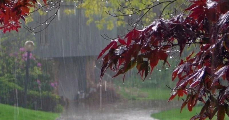 Yağıntılı hava şəraiti davam edir