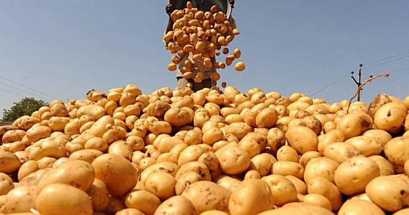 Россельхознадзор вновь предотвратил использование азербайджанской продукции
