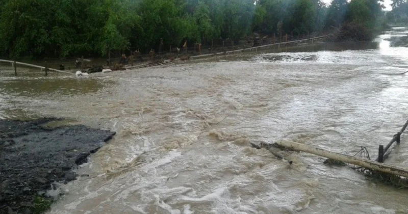 Qıraqkəsəməndə 17 sm yüksəliş