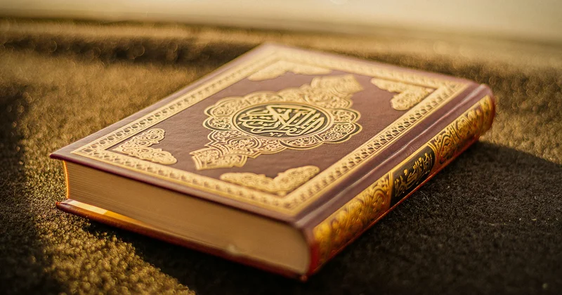 Quranda cadu sözü yoxdur Elşad Miri