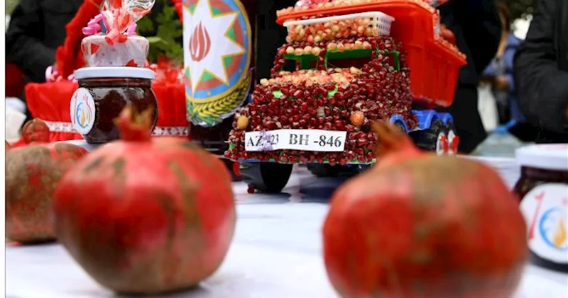 Məhsul festivalları formal olmamalıdır Natiq Cəfərli