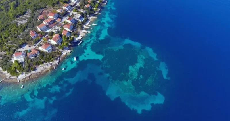 Təbiət möcüzəsi: Okeanın dibində sualtı ada