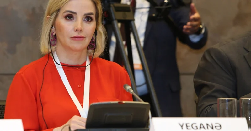 Yeganə Hacıyeva: Vahid qurum qərarvermə prosesini sürətləndirə bilər