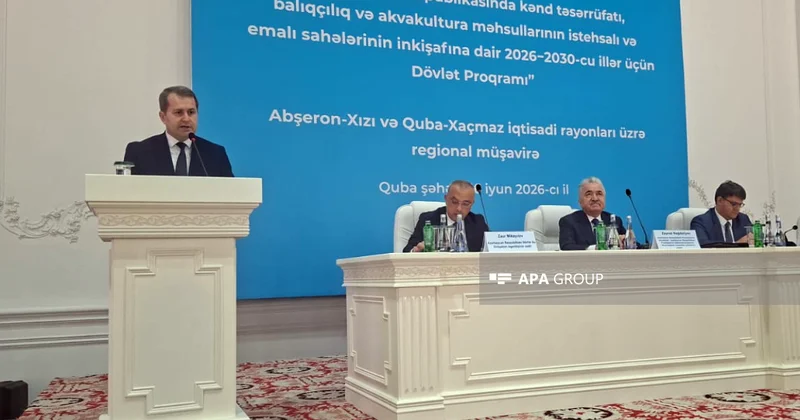 Nazir müavini: Dövlət Proqramı yalnız istehsal istiqamətlərini deyil, onları dəstəkləyən tədbirləri də əhatə edir