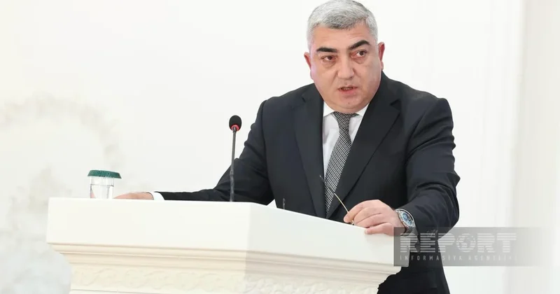 Губинские садоводы планируют довести площадь фруктовых садов до 18,5 тыс. га к 2031г