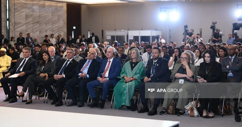 BMT nin xüsusi elçisi: Yanlış risk qiymətləndirilməsi inkişaf etməkdə olan ölkələrdə borc yükünü artırır