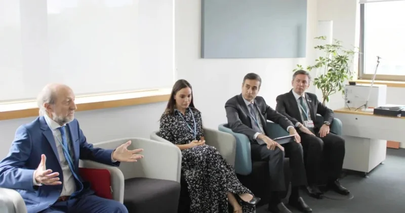 Leyla Əliyeva UNFCCC rəhbərliyi ilə görüşdü FOTO