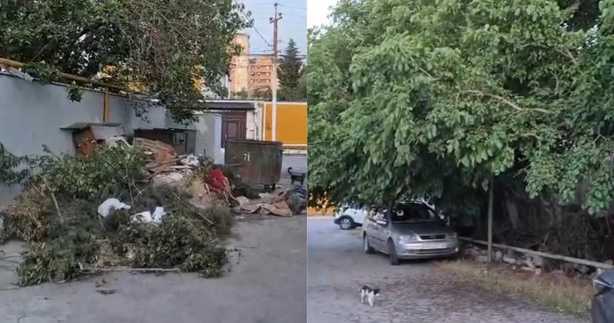 Bu küçədə nə zibil yığışdırılır, nə də ağaclar budanır ŞİKAYƏT VİDEO