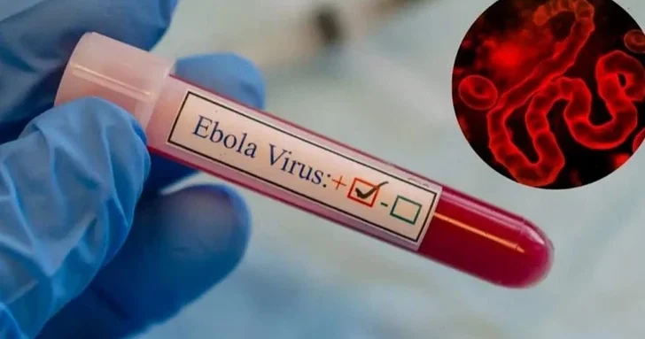 Вирус Эбола может распространиться в Европу и Азию