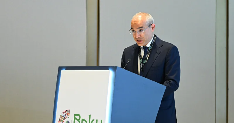 Mikayıl Cabbarov: Bərpaolunan enerji gələcək investisiyalar üçün ən mühüm istiqamətlərdən birinə çevrilib