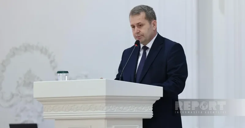 Минсельхоз: В Азербайджане появятся дополнительные зернохранилища на 150 тыс. тонн