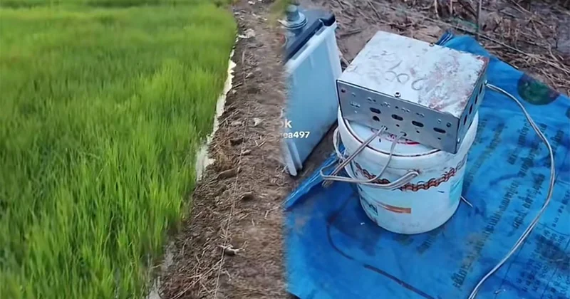 Zaqatala deyil, Kombocadır... Video
