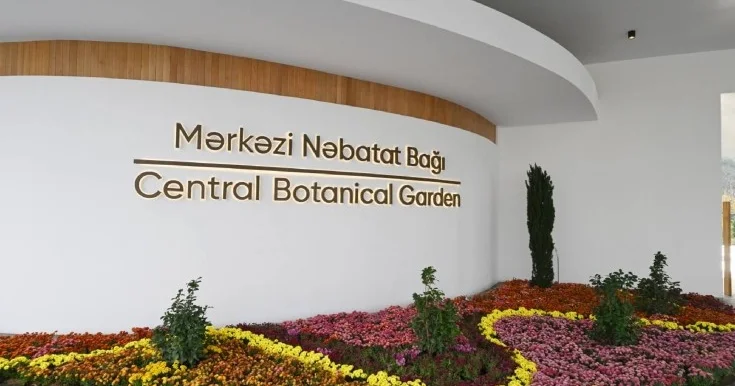 Nəbatat Bağının sədri 5000 cərimələndi