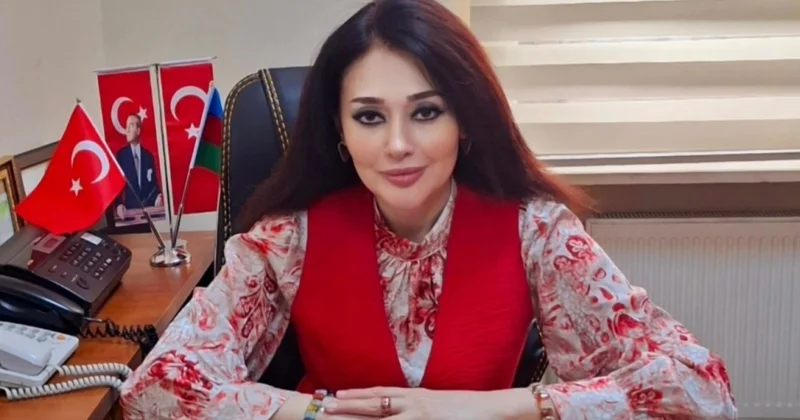 15 İyun Milli Qurtuluş Günü: Dövlətçiliyimizin qorunması və inkişaf strategiyasının formalaşmasında mühüm mərhələ