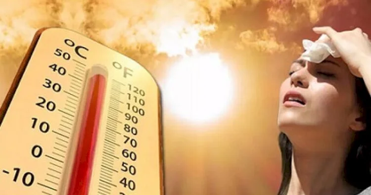 Hazırda Bakıda 39, Naxçıvanda 40 dərəcə isti var FAKTİKİ HAVA