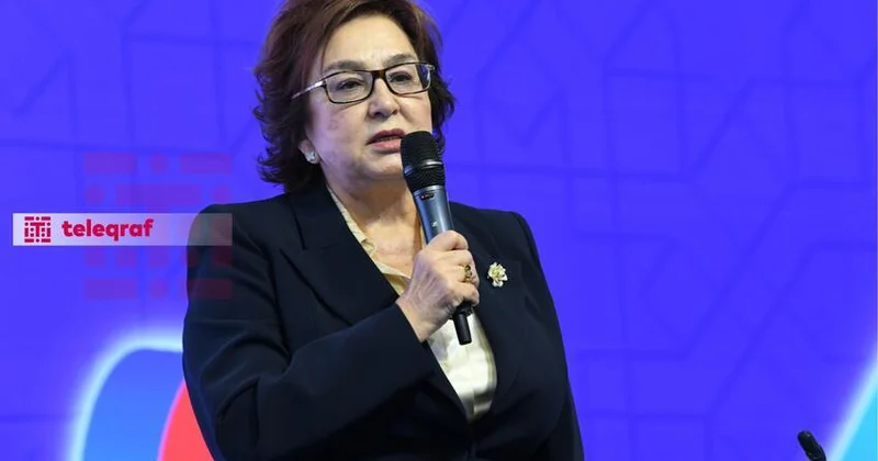 Məleykə Abbaszadə: Bu il universitetlərdə ödənişli əsaslarla olan yerlərin 90 faizi dola bilər