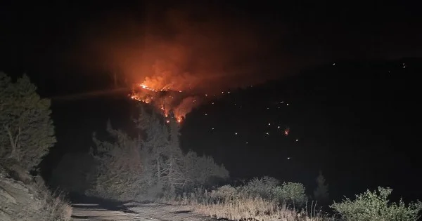 Laçında yanğın baş verən ərazidən görüntülər YENİLƏNİB (FOTOLAR)