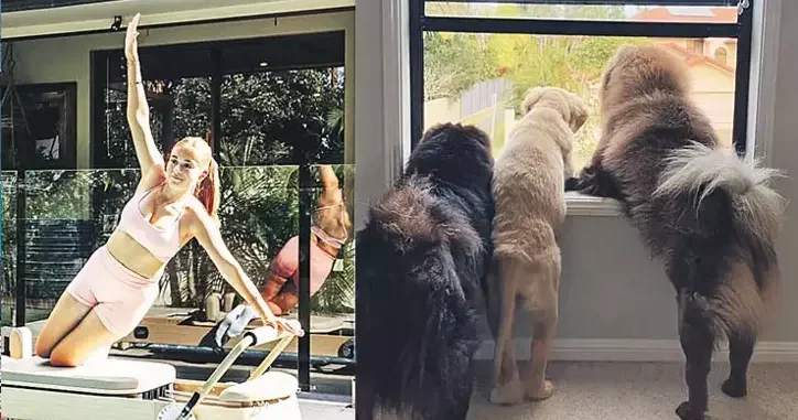 Süni intellekt səhvinə görə 85 min itirdi FOTO