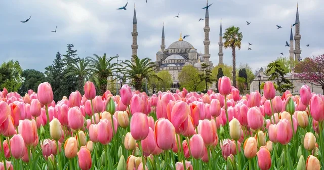Osmanlıda lalə niyə sərvət qədər qiymətli idi?